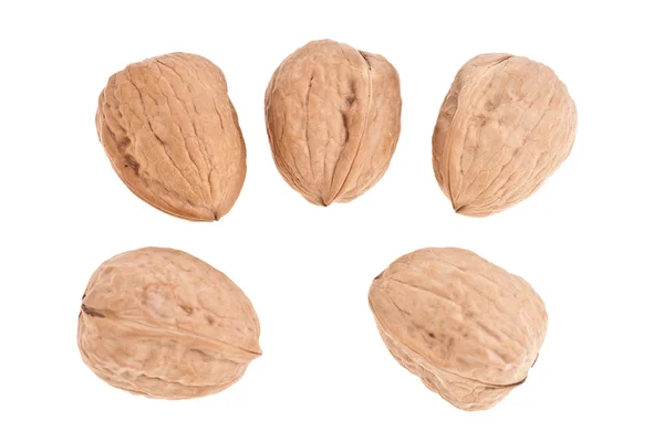 Wallnuts — Stock Photo, Image