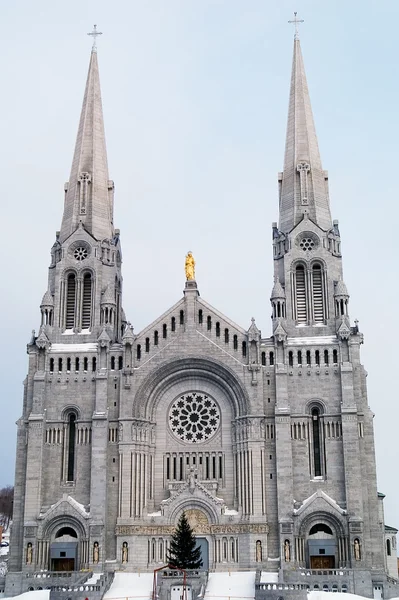 Katedra w ciągu zimy — Zdjęcie stockowe