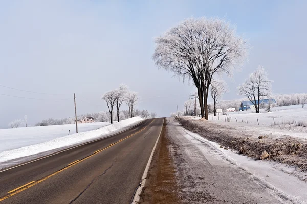 冬季景观、 加拿大安大略省 — 图库照片