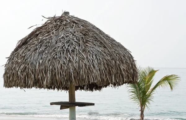 Palm leave parasol — Stock Photo, Image