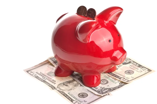 stock image Pig, money, and savings