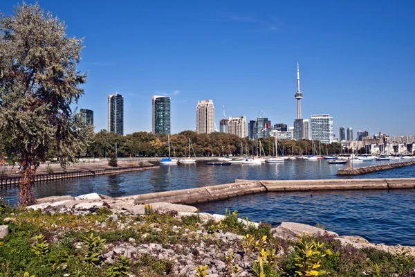 Toronto paisagem cityscape alta panorama CN Tower condomínio de luxo — Fotografia de Stock