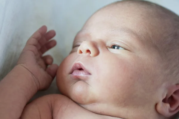 Pasgeboren liggen comfortabel — Stockfoto