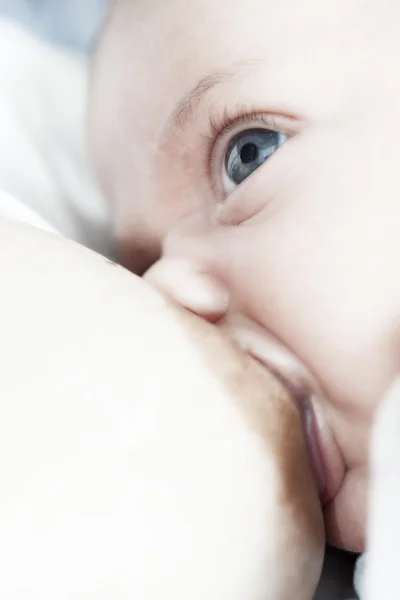 Мать кормила грудью своего ребенка Стоковое Фото