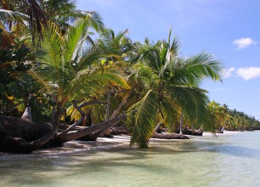 Paradiesischer Strand