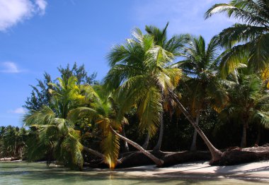 Einsamer Traumstrand