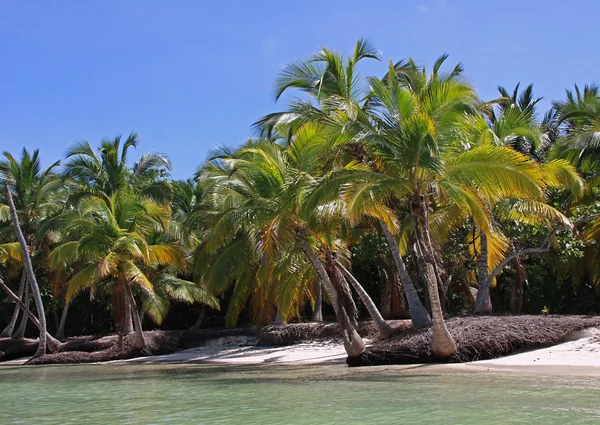 Einsamer Strand in der Karibik — Stock Photo, Image