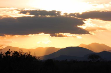 sonnenuntergang im nationalpark, Afrika'da günbatımı