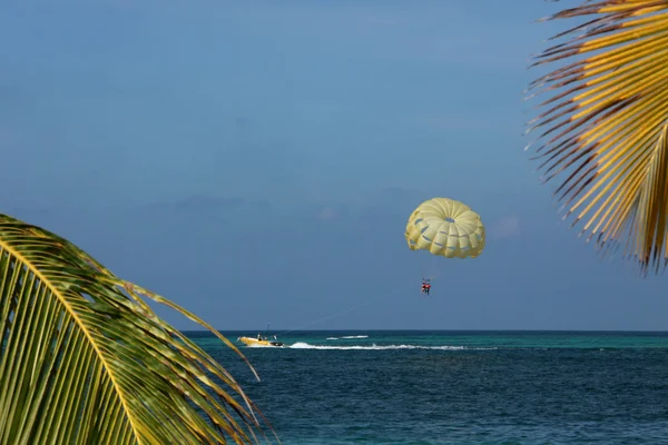 Paragliding at the sea — Stock Photo, Image