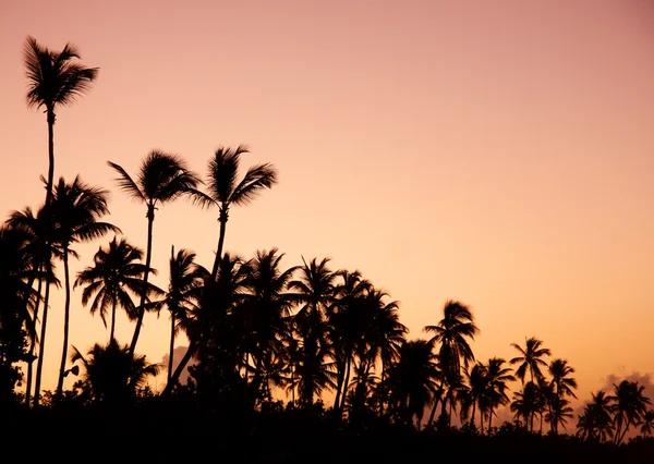 stock image Paradise during sunset