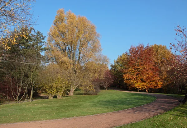 Parque en otoño — Foto de Stock