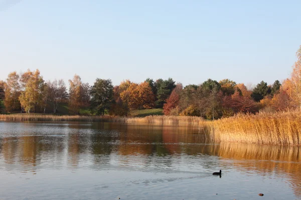 stock image Lake in autumn