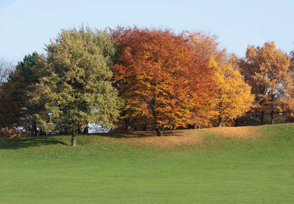 Park w jesieni — Zdjęcie stockowe