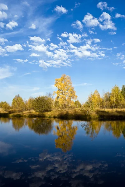 Stock image Lake Forest autumn.