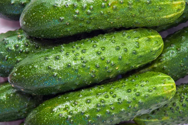 Background of the cucumbers. — Stock Photo, Image