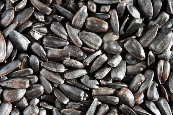 stock image Background of sunflower seeds.