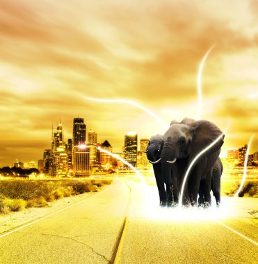 Elephant in the city clipart