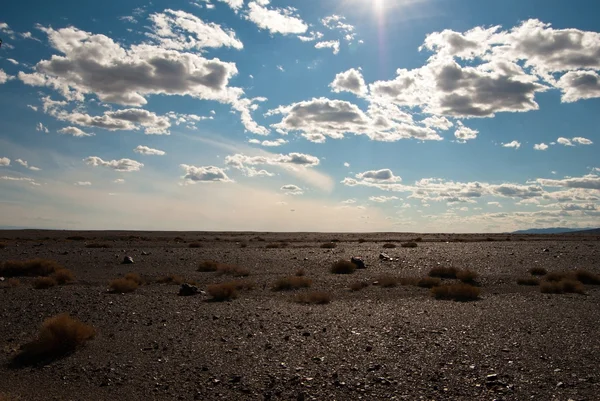 stock image Gobi desert