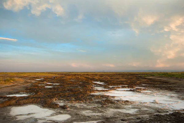 stock image Saline land in Gobi desert