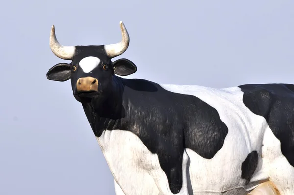 Modelo vaca negra — Foto de Stock