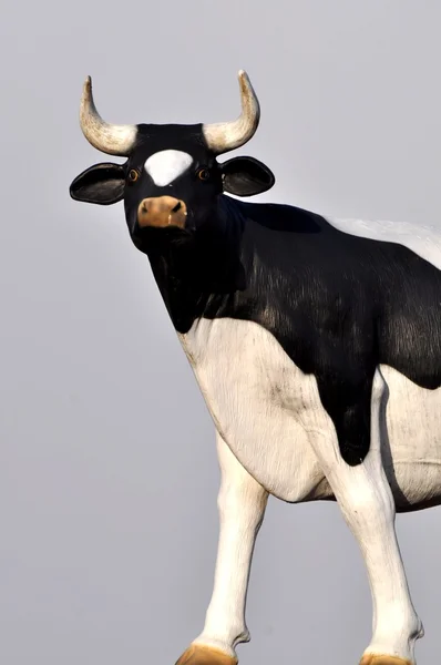 Model black cow — Stock Photo, Image