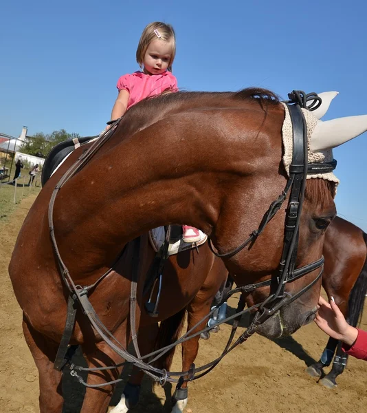 Bardzo mała dziewczynka na czarnego konia — Zdjęcie stockowe
