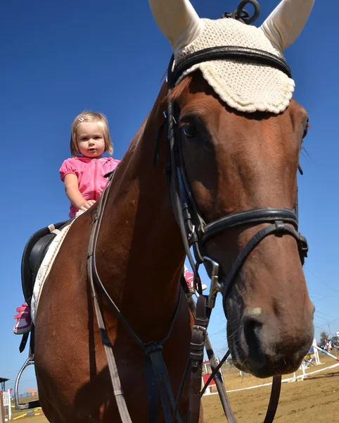 Très petite fille sur son cheval noir — Photo