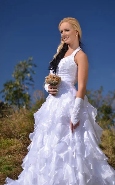 美丽的新娘在结婚那天摆姿势 — 图库照片