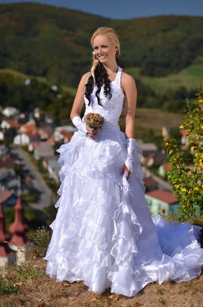 美丽的新娘在结婚那天摆姿势 — 图库照片