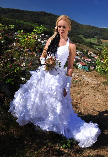 Hermosa novia posando en su día de boda — Foto de Stock