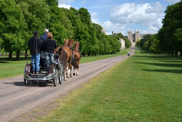 stock image The Long Walk in Windsor Great Park in England with Windsor Castle in the b