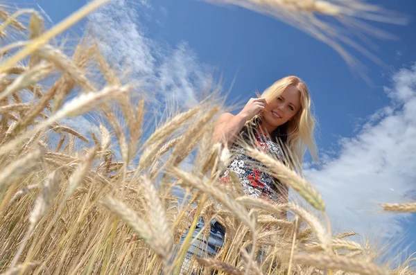 Счастливая женщина на золотом пшеничном поле — стоковое фото