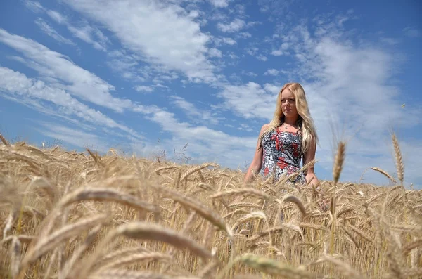Donna felice nel campo di grano dorato — Foto Stock