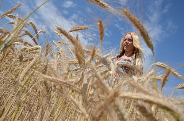 黄金の小麦畑に幸せな女 — ストック写真