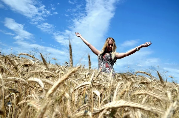 Glad kvinna i gyllene vete fält — Stockfoto