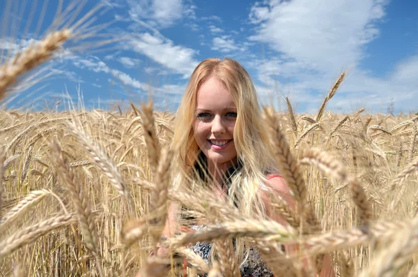 快乐的女人在金黄的麦田 — 图库照片