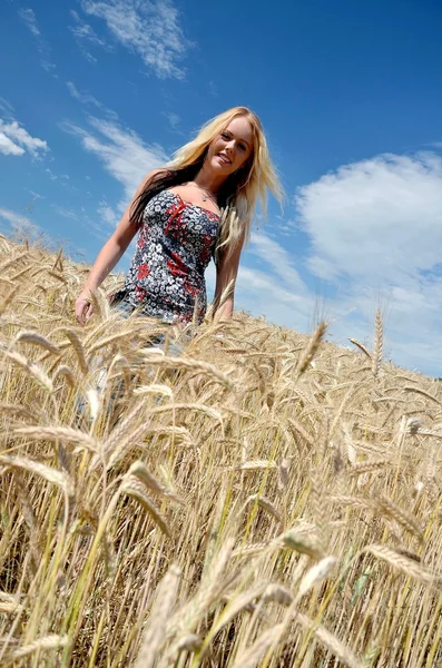 Gelukkige vrouw in gouden tarweveld — Stockfoto