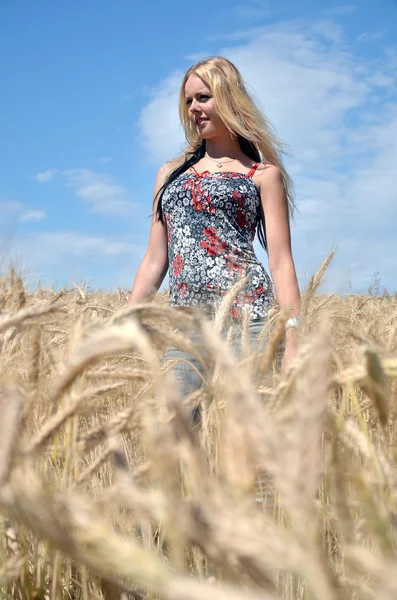 Mujer feliz en el campo de trigo dorado — Foto de Stock