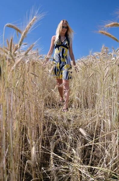 快乐的女人在金黄的麦田 — 图库照片