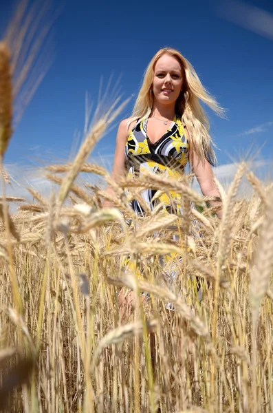 黄金の小麦畑に幸せな女 — ストック写真