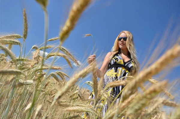 Mulher feliz no campo de trigo dourado — Fotografia de Stock