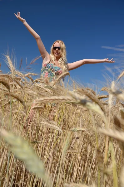 Ευτυχισμένη γυναίκα στον τομέα χρυσό σιτάρι — Φωτογραφία Αρχείου