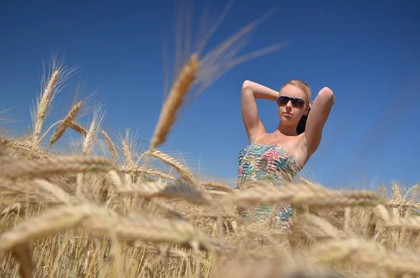 Mulher feliz no campo de trigo dourado — Fotografia de Stock