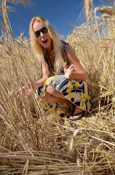 Mujer feliz en el campo de trigo dorado — Foto de Stock