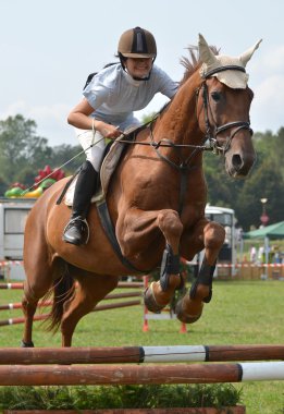 Show jumping rider clipart