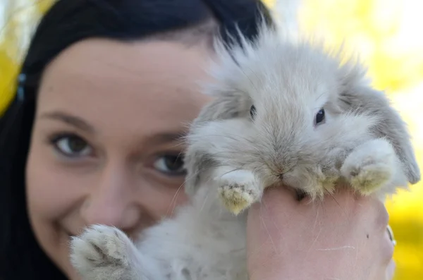 Hermosa chica con conejo —  Fotos de Stock