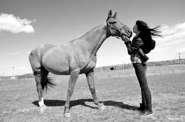 Ragazza felice abbracciando cavallo marrone — Foto Stock