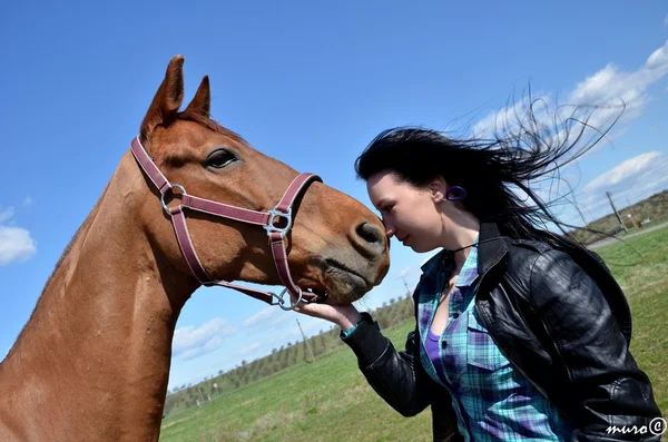 Happy girl embracing brown horse — Stock Photo, Image