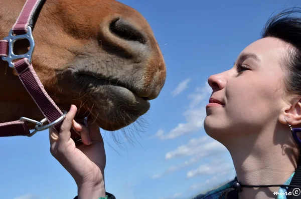 Fille heureuse embrassant cheval brun — Photo