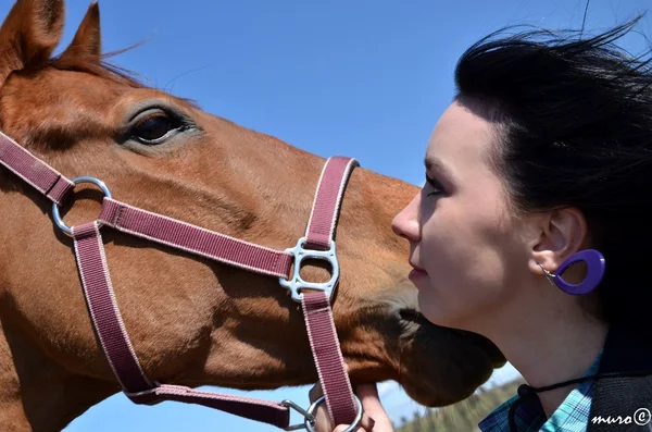 Glad tjej embracing brun häst — Stockfoto